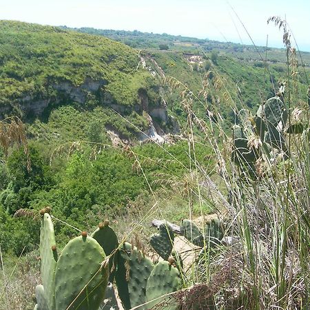 Azienda Agrituristica Carida Zaccanopoli Εξωτερικό φωτογραφία